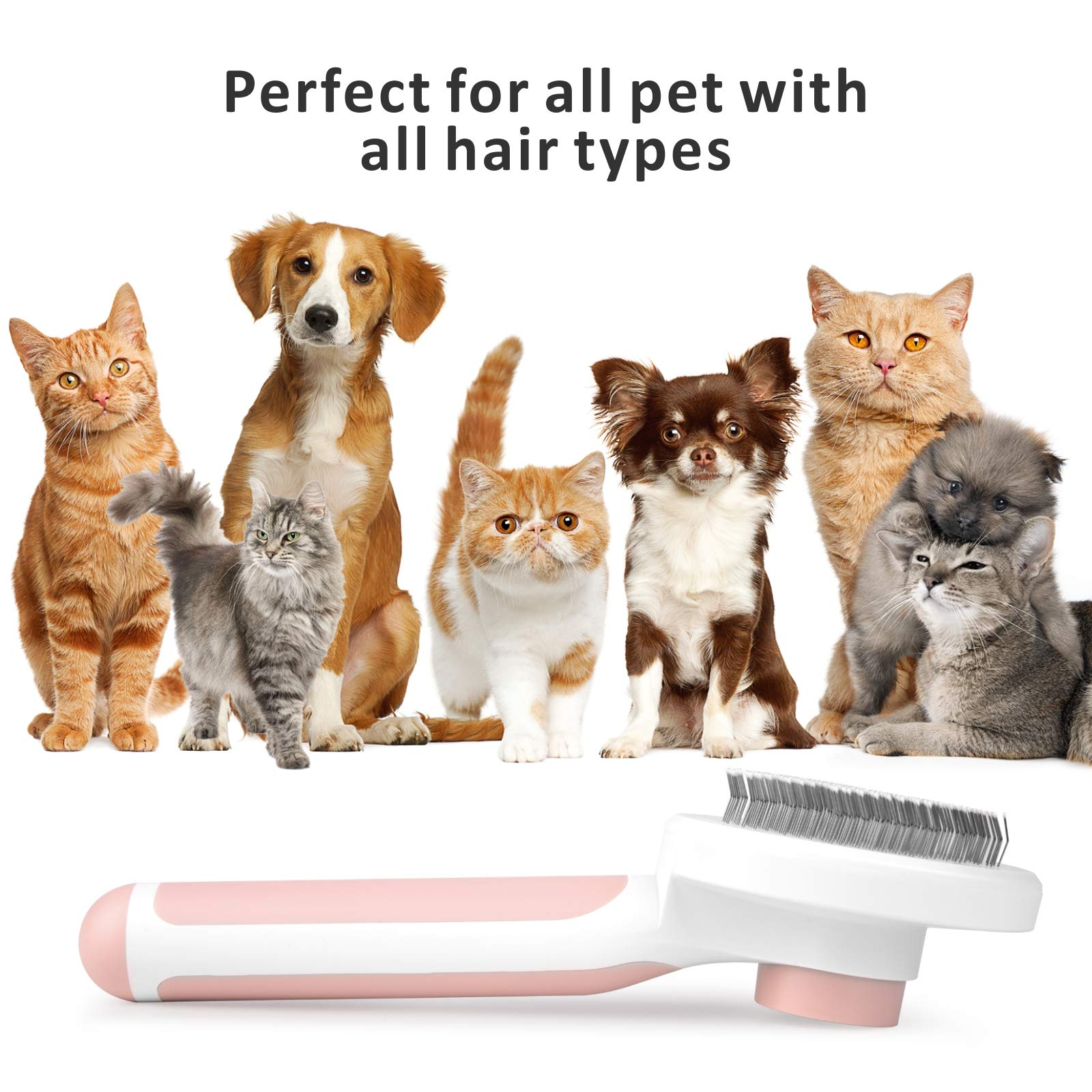 pet brush